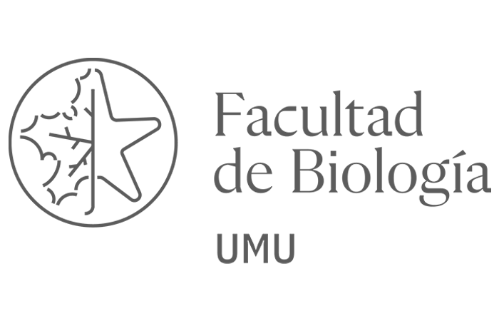 Colaborador 1