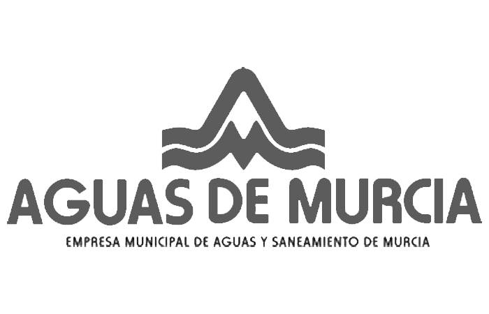 Patrocinador 1